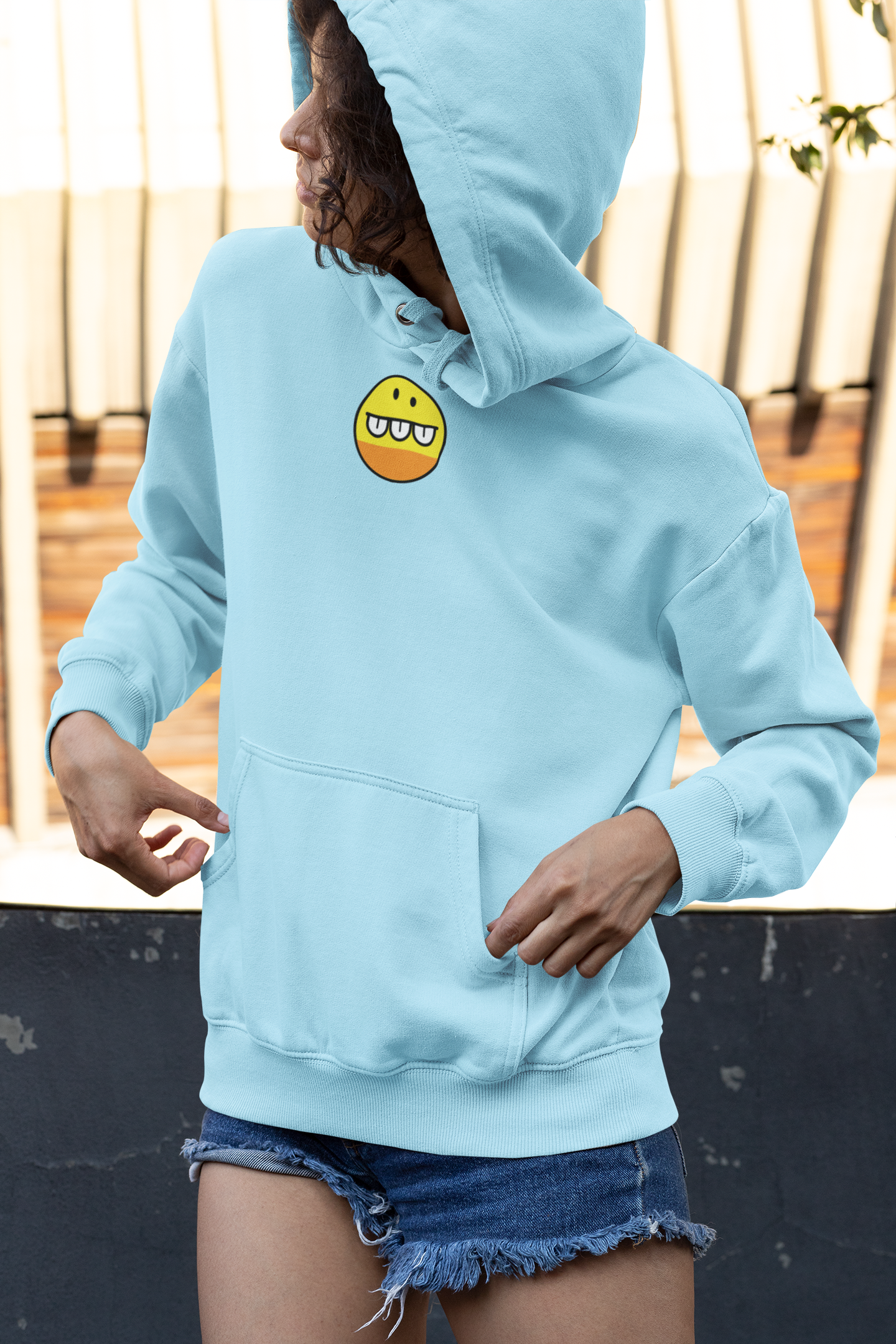"Friends 2 " Hoodie